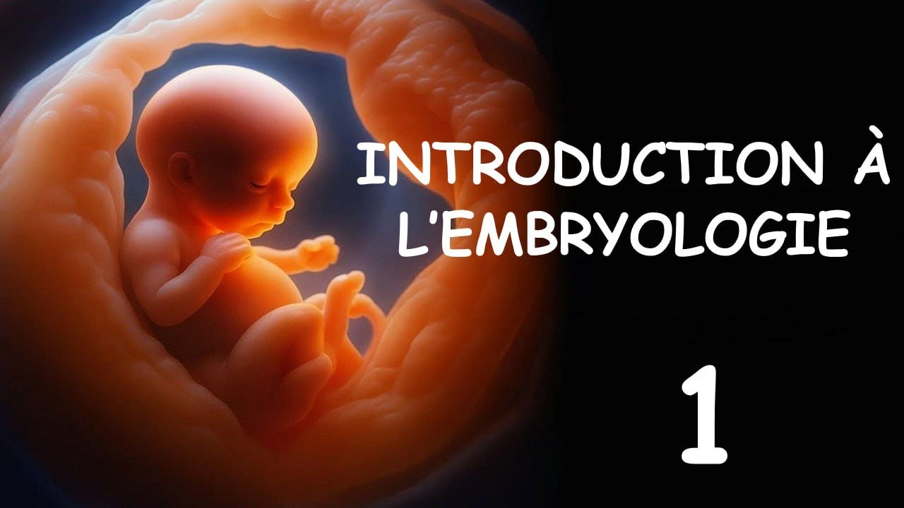 Embryologie (2025) : INTRODUCTION À L’EMBRYOLOGIE Par Abdellah