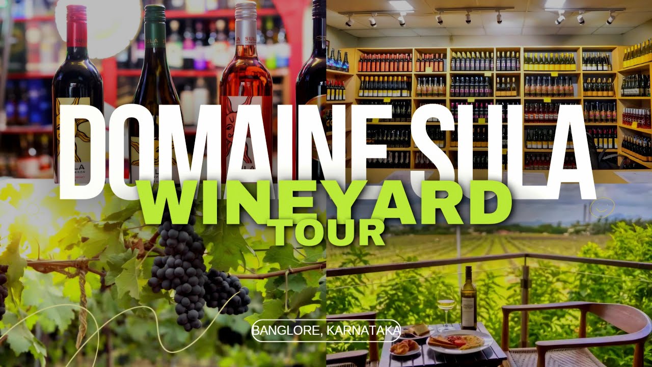 Sula Vineyard Tour, Banglore | Wine Making Process Explained | മലയാളം
