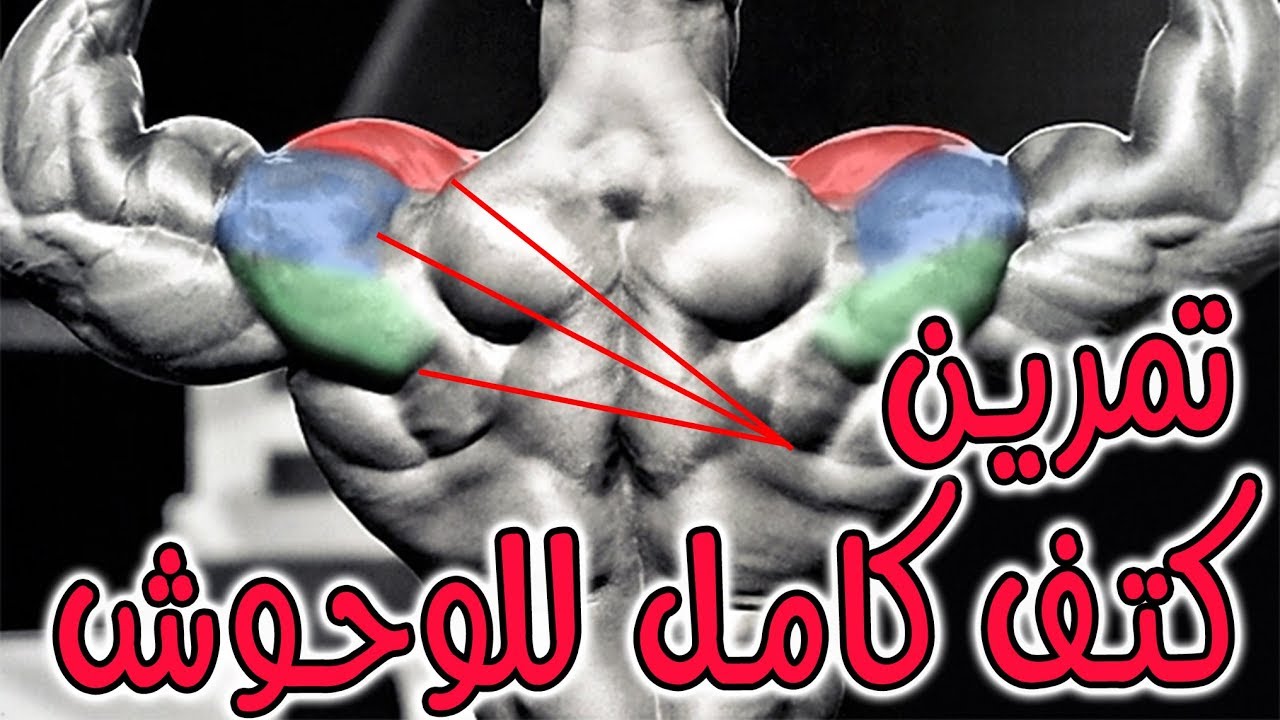 shoulder workout motivation for mass   تمرين كتف كامل