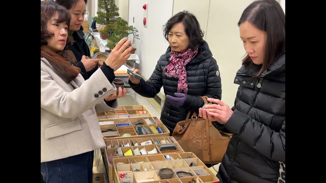 【４ＫBonsai】第49回 雅風展 小品盆栽フェ がふうてん Kyoto Exhibition World Small Bonsai Gafuten ミニ盆栽 Mini bonsai Part 2