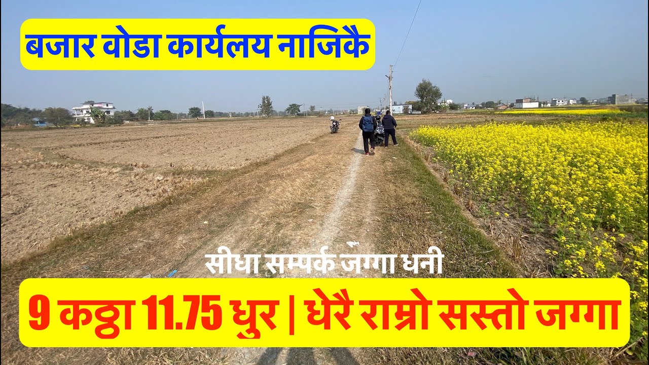 9 Katha 11.75 Dhur| Dherai Sasto Jagga | itahari City | land for sale at itahari@realestatenepal01