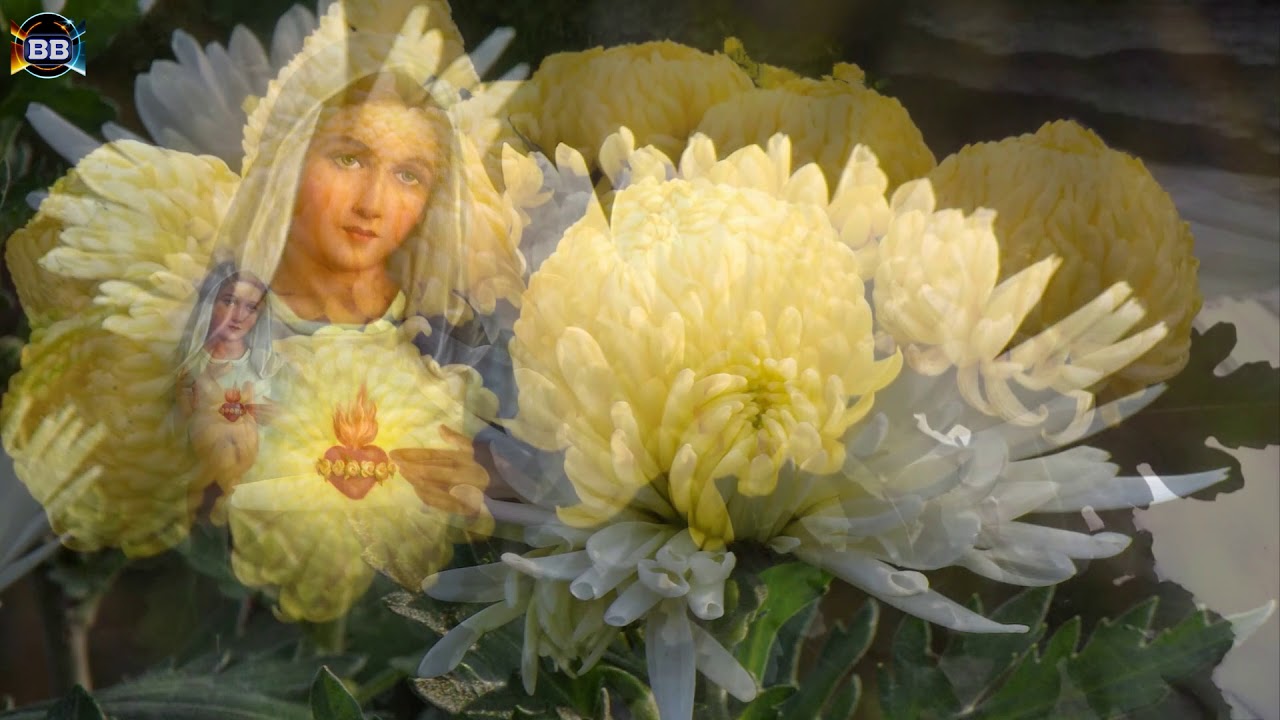 Koronka za zmarłych do Serca Maryi