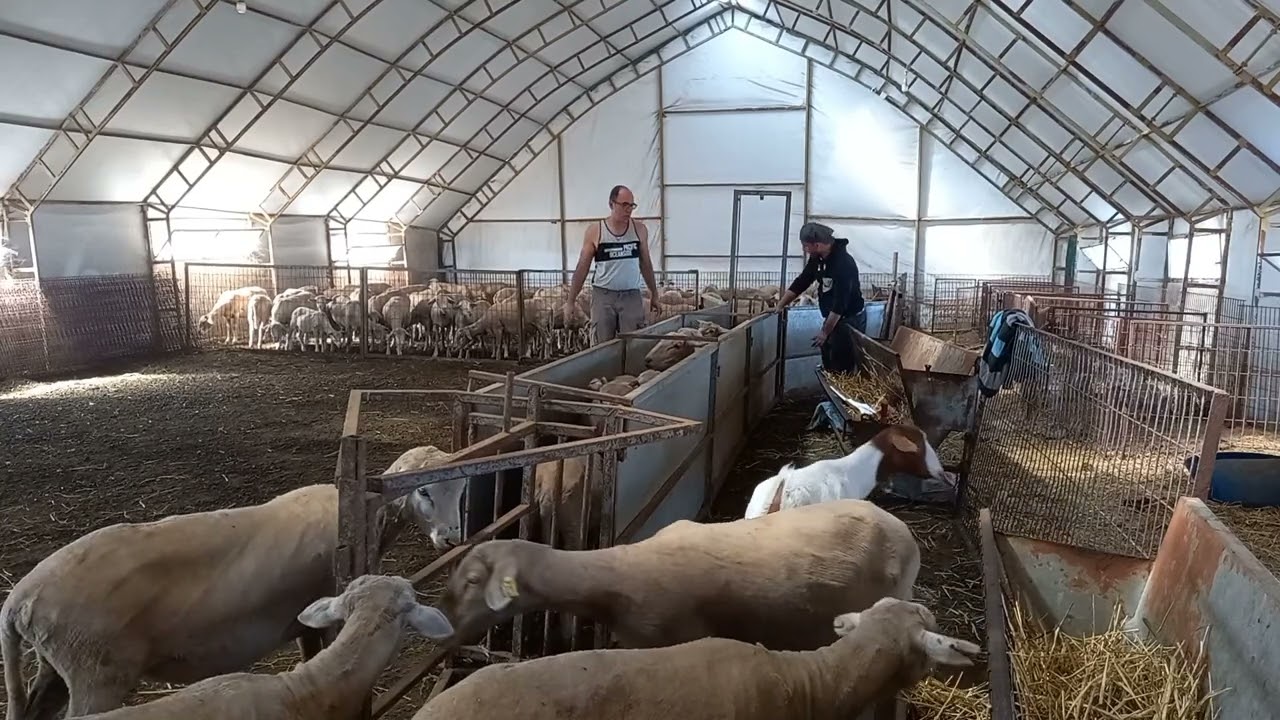 AŞI YOLU KURULUM VE KULLANIMI