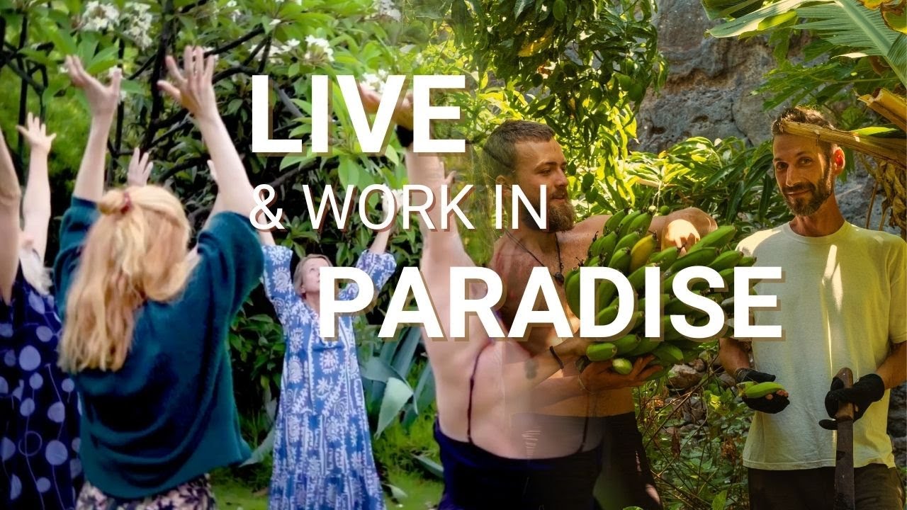 Live Differently for One Month 🌿 Join a Spiritual Community on La Gomera (2025 Experience)