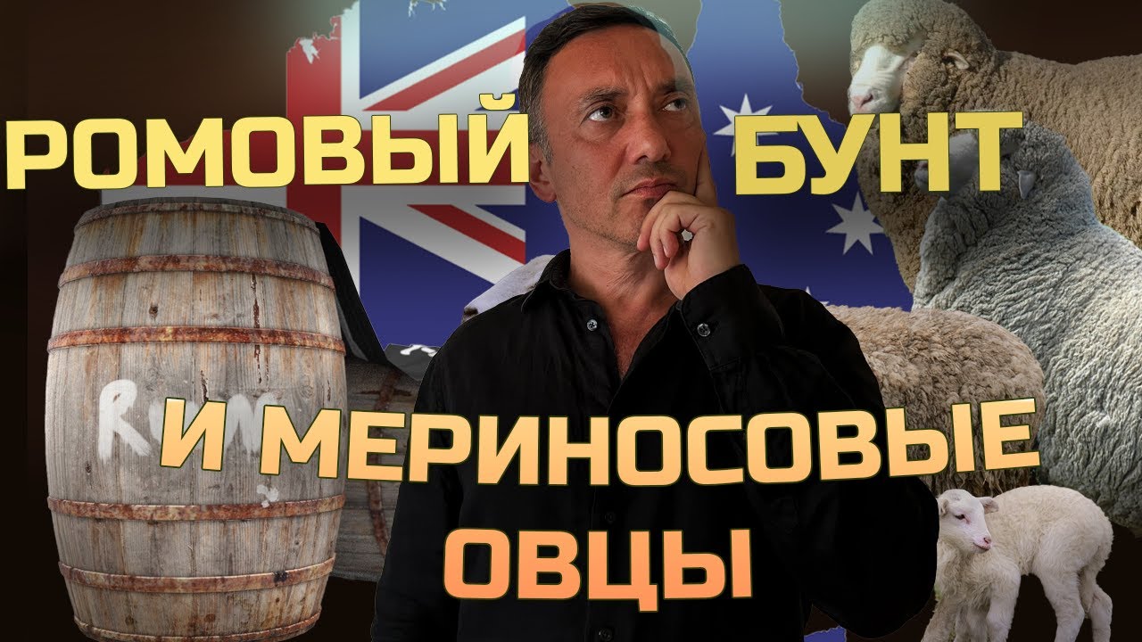 РОМОВЫЙ БУНТ. ПРИ ЧЁМ ТУТ МЕРИНОСОВЫЕ ОВЦЫ? История авантюриста