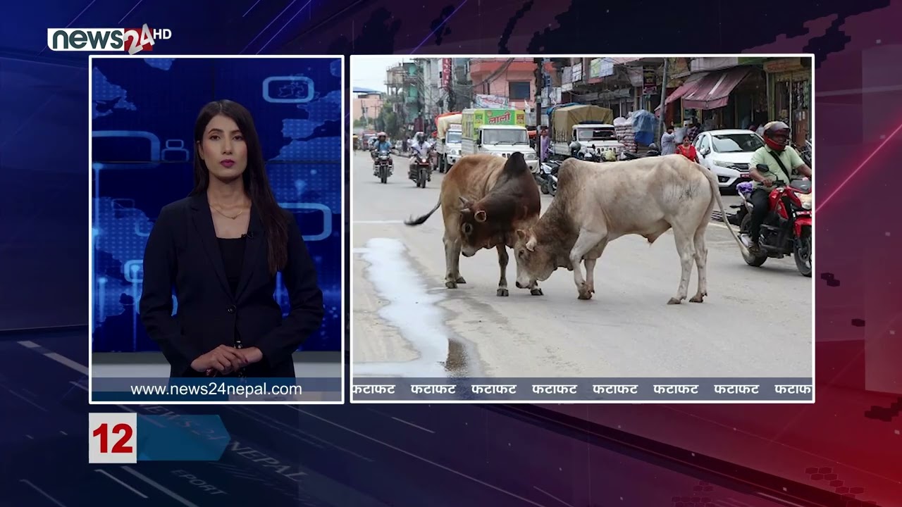 AFTERNOON NEWS FATAFAT - NEWS24 TV