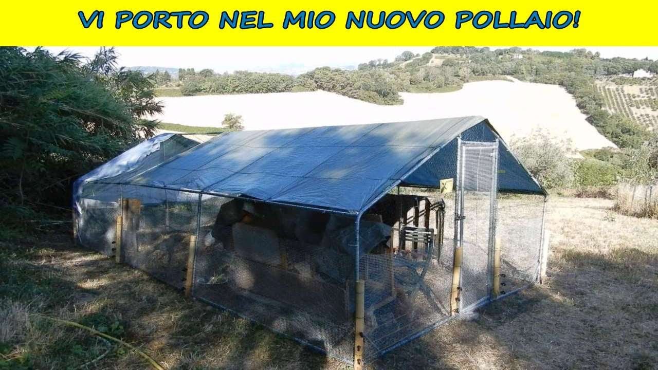 In questo video vi mostro il mio nuovo pollaio e come proteggo le mie galline dai predatori