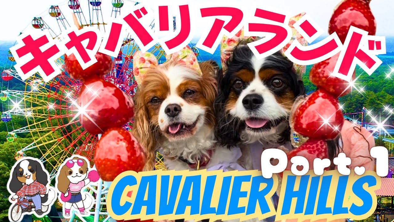 【キャバリアランド】キャバリアヒルズ高校白書in那須ハイランドパークPart.1