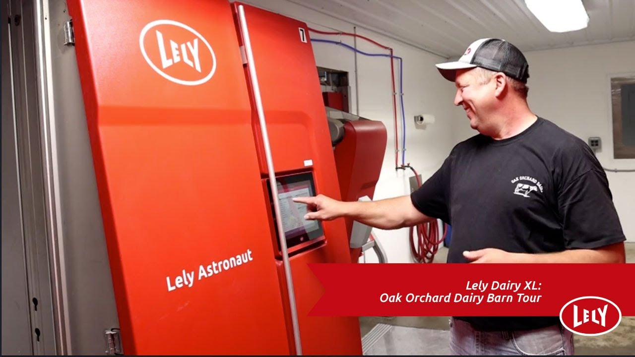 1,100-Cow Dairy Turns To Lely Automation for Maximum Efficiency | Lely Large Herd Dairy