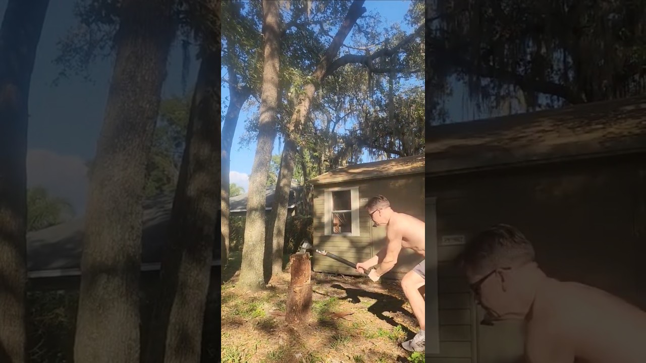 Most Satisfying Wood Chop Ever