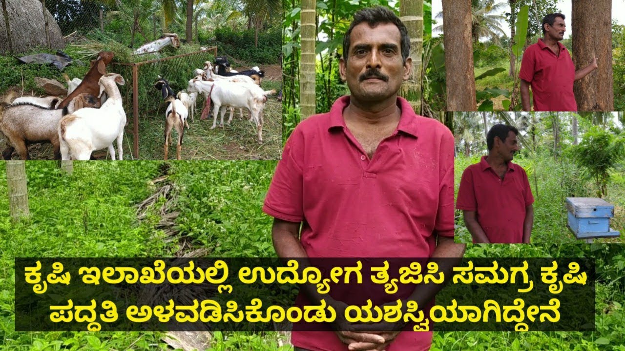 ಕೃಷಿ ಇಲಾಖೆಯಲ್ಲಿ ಉದ್ಯೋಗ ತ್ಯಜಿಸಿ ನಂತರ ಕೃಷಿಯಲ್ಲಿ ತೊಡಗಿಸಿಕೊಂಡು ಯಶಸ್ವಿಯಾದ ಮಾದರಿ ರೈತ