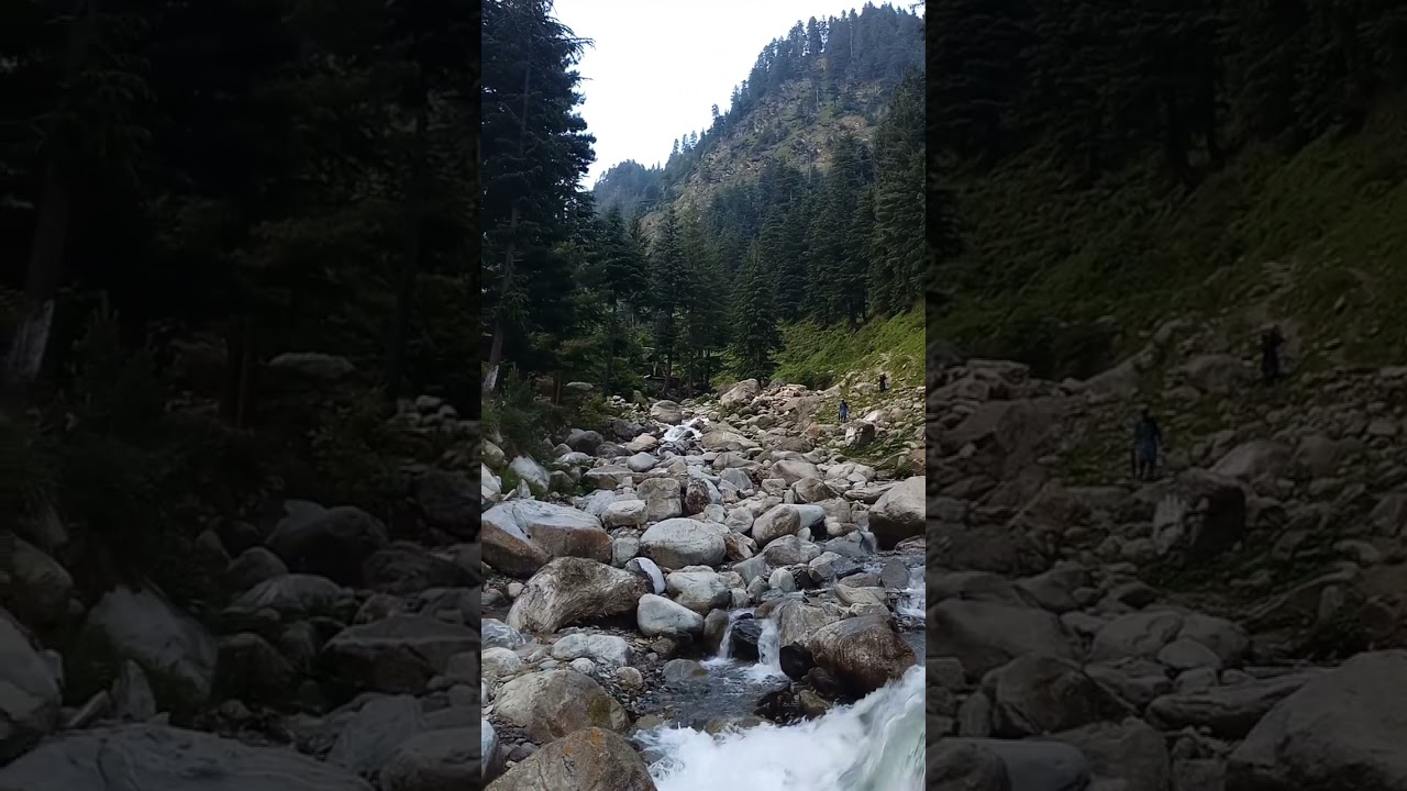 Romance Amidst Nature Embrace Serenading Moments at Jagran Valley 