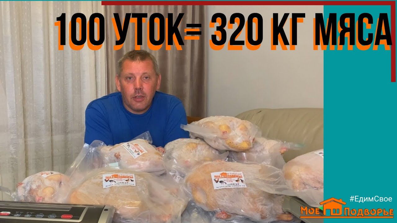 Утка СТАР-53: забой, вес тушек. ИТОГИ 2022. Выгодно ли?! 