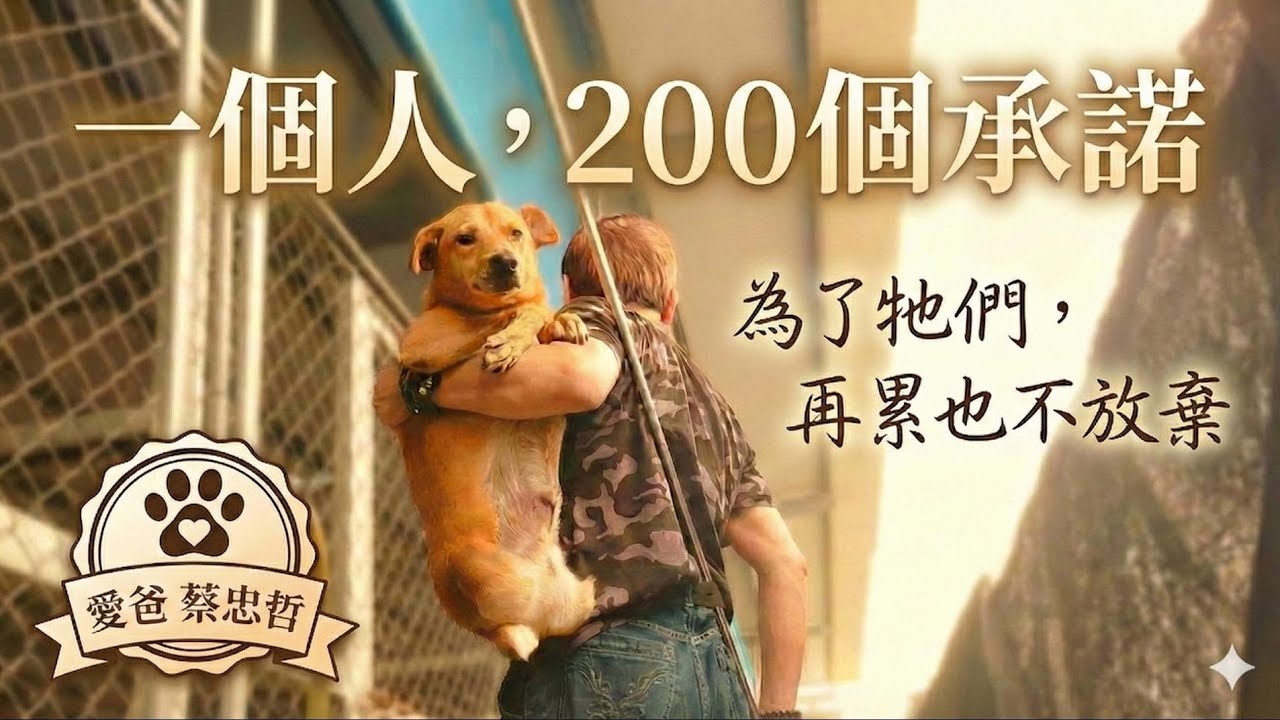 被棄養的老殘貓狗，一人一肩擔起兩百個生命的鬥士，前訪探視屏東狗園 ft.蔡忠哲狗園【麻雀爾】