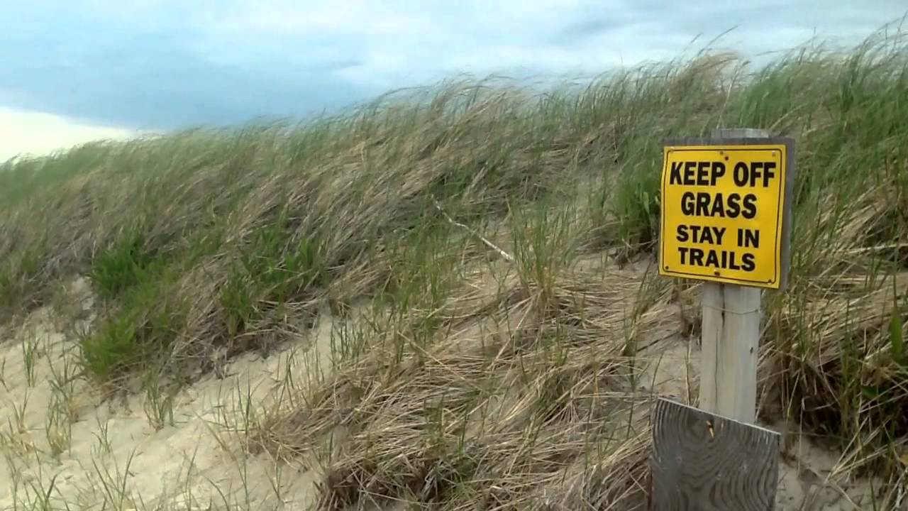 Skaket Beach