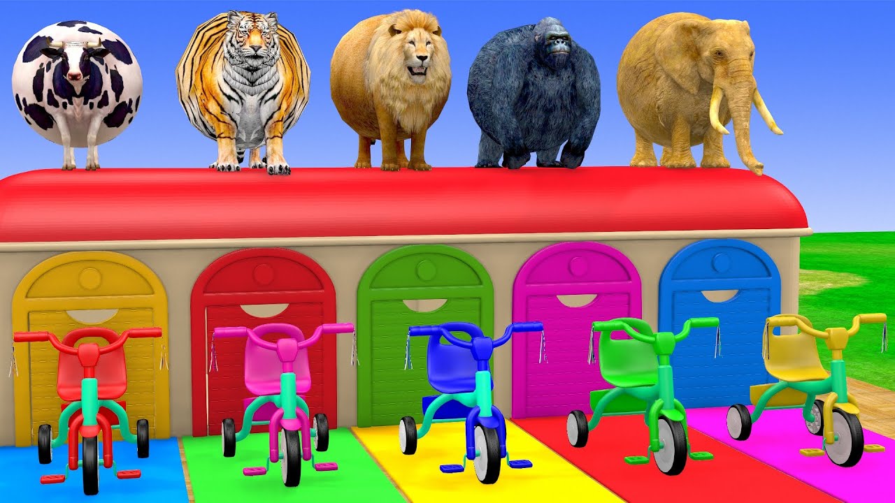 Long Slide Game with Cow Elephant Gorilla Hippopotamus Tiger 3d Animal Game Funny 3d Animals
