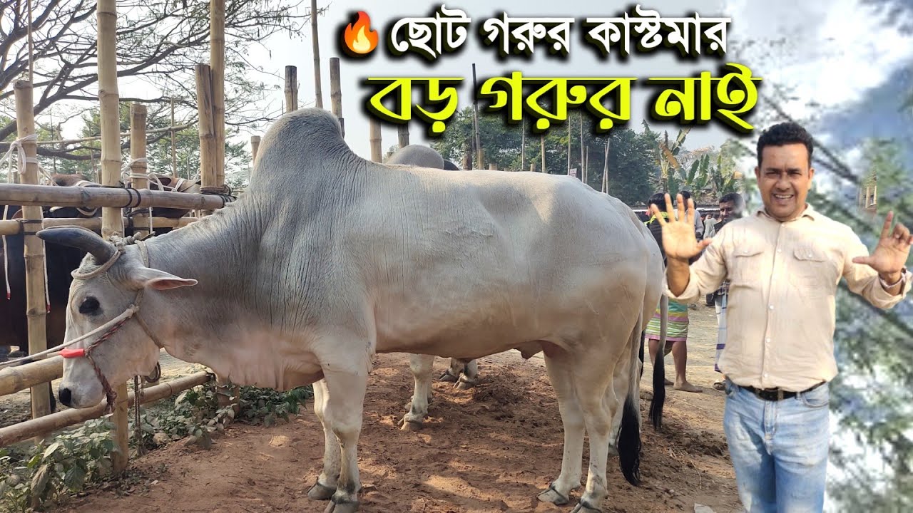 ঢাকার ঐতিহ্যবাহী হযরতপুর হাটে নির্বাচনের আগে 