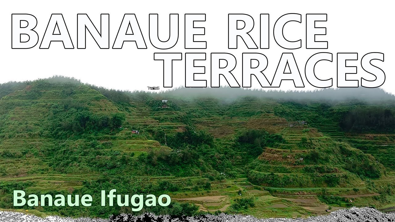 Road Trip #5: Banaue Rice Terraces