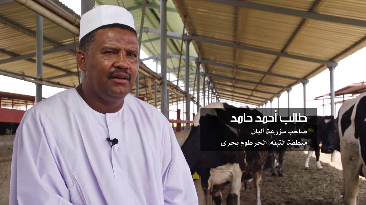 المسؤولية الاجتماعية لشركة دال الغذائيه ٢٠١٣