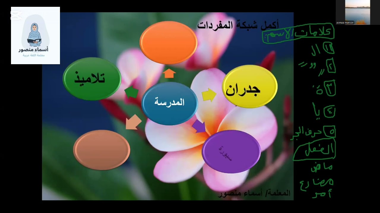 تعلم الفرق بين خريطة الكلمة وشبكة المفردات في 5دقائق