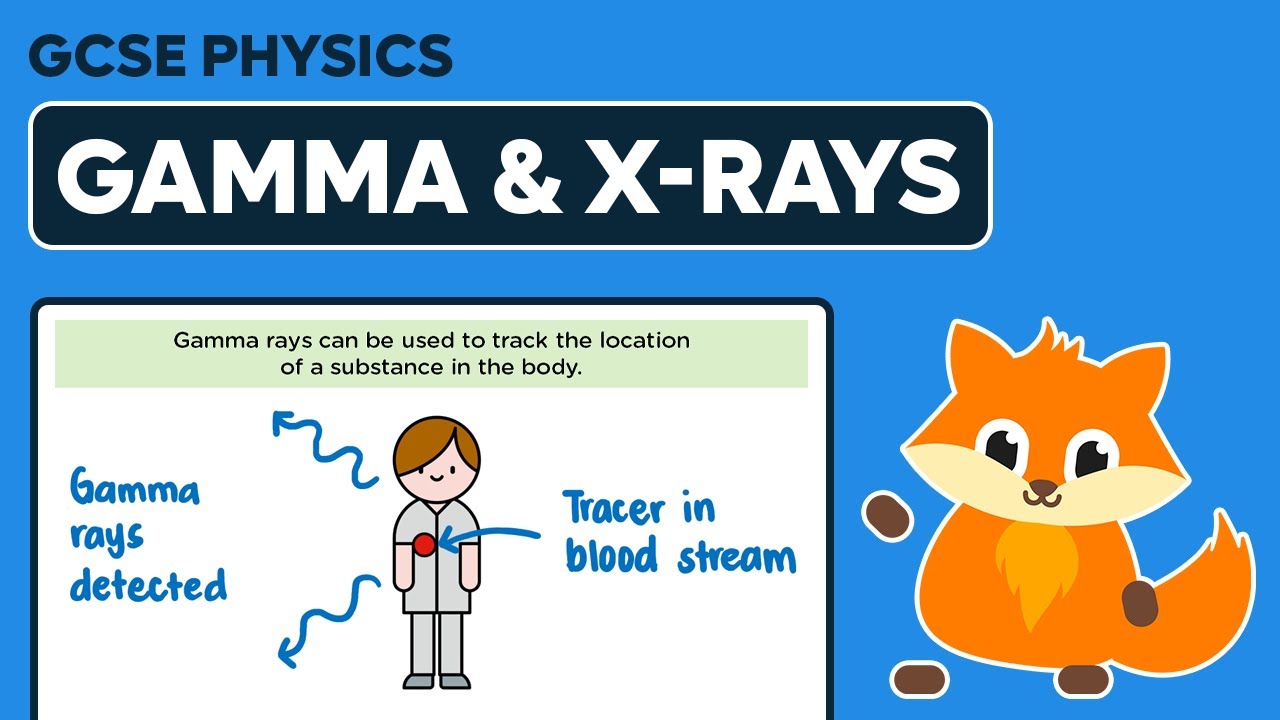 Applications of Gamma & X-Rays - GCSE Physics