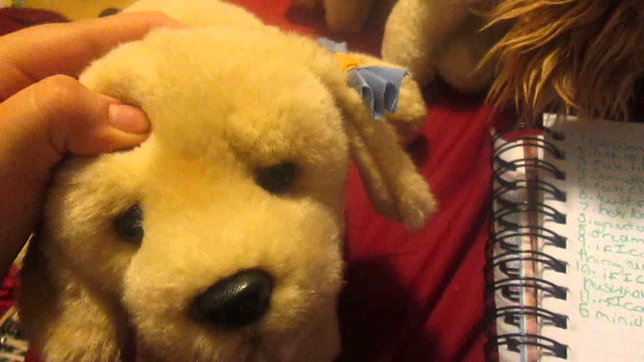 webkinzblonde cockapoos tag