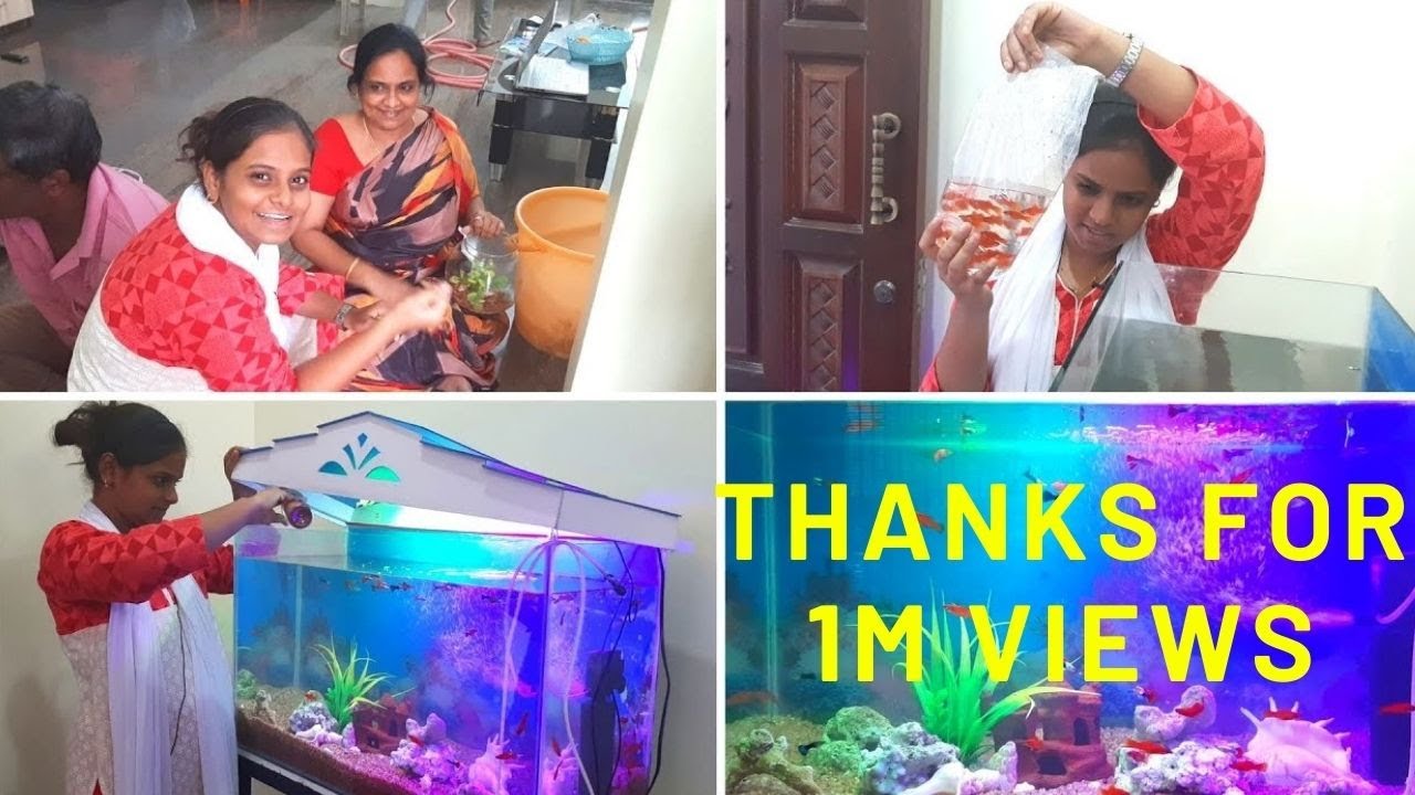 First Time Ivlo 🐟 Vaangi Fish Tank la Potrukom 😍 | Aquarium Setup | Sherin Media #27