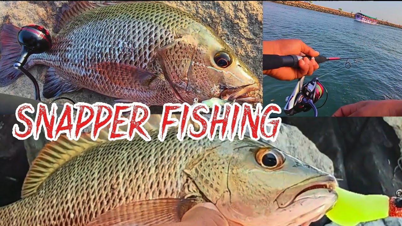 Beautiful Red Snappers ||Tambusa ||ಕೆಂಬೆರಿ|| Fishing from breakwaters of Malpe - ಮಲ್ಪೆ- UDUPI 