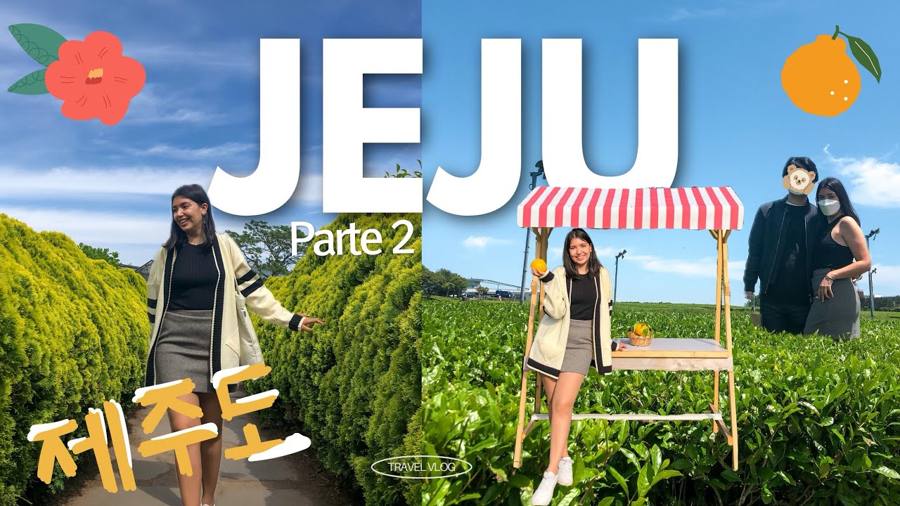 JEJU✈️ Osolluc Tea Museum 🍵Café de Mandarinas🍊 |Vlog