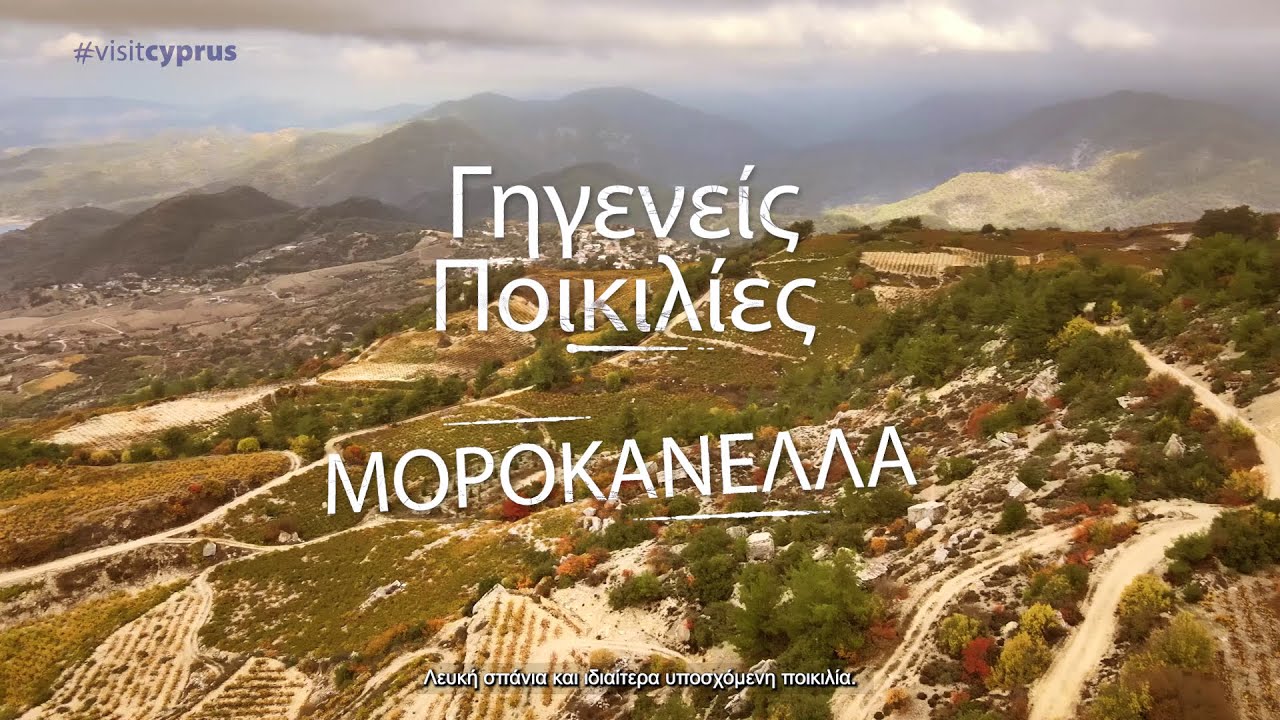 &Mu;&omicron;&rho;&omicron;&kappa;&alpha;&nu;έ&lambda;&lambda;&alpha; (&Gamma;&eta;&gamma;&epsilon;&nu;&epsilon;ί&sigmaf; &pi;&omicron;&iota;&kappa;&iota;&lambda;ί&epsilon;&sigmaf; &tau;&omicron;&upsilon; &omicron;ί&nu;&omicron;&upsilon; - &Kappa;ύ&pi;&rho;&omicron;&sigmaf;)