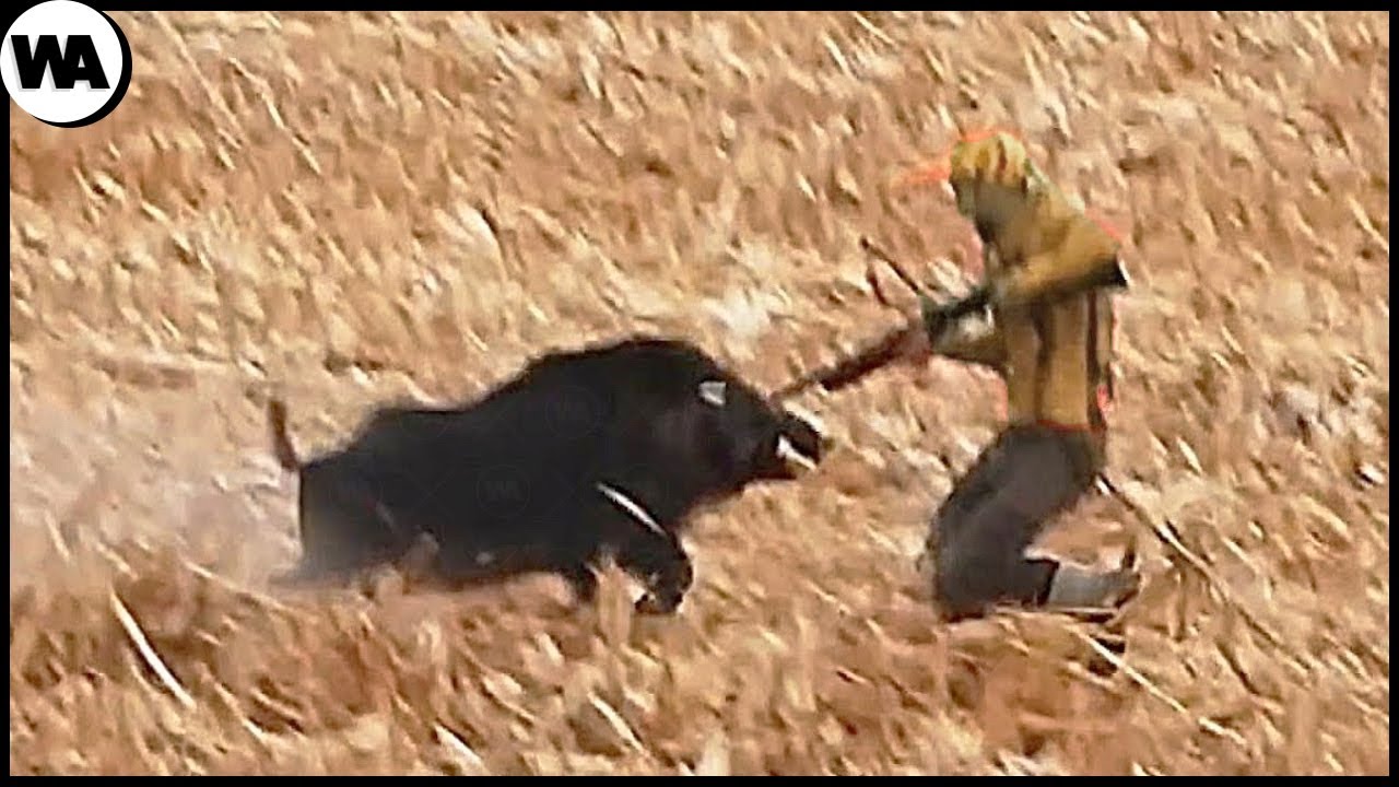 When Poachers Became Prey While Hunting