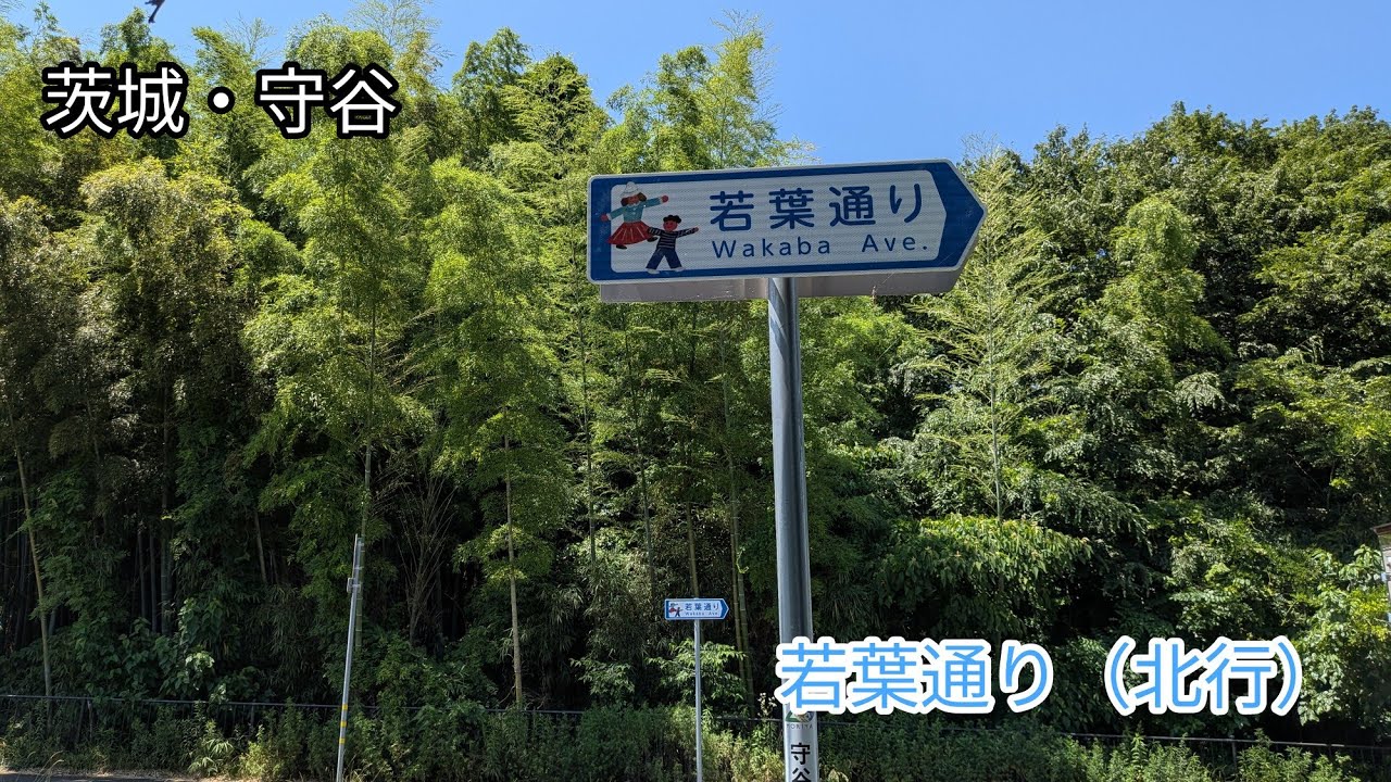 【茨城】若葉通りを歩く（北行）