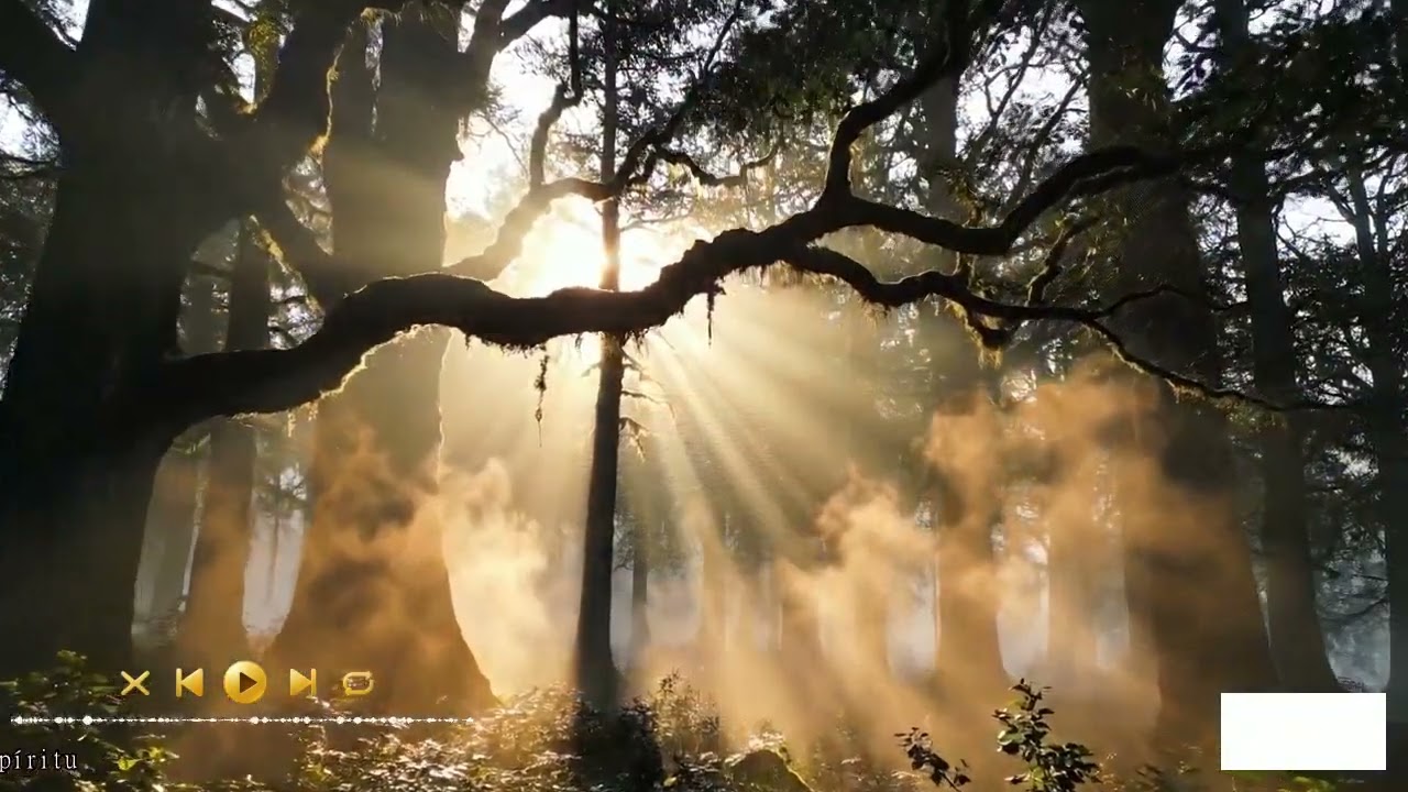 📜 Prophetic Harp and Throne of the Most High | Sacred Worship · Glory of Jerusalem