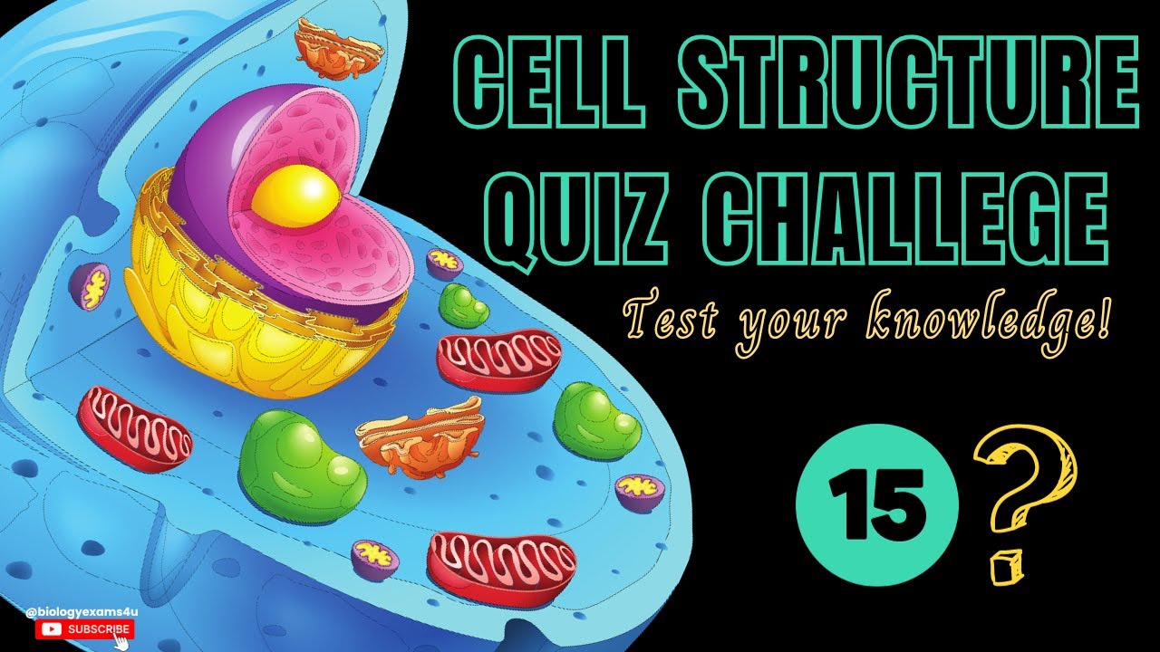 Cell Structure Quiz | Can you answer all 15 Cell Questions?