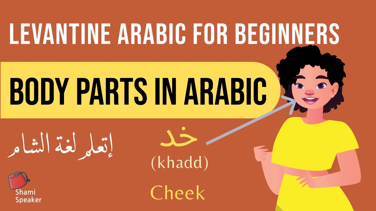 Body Part Vocabulary in Levantine Arabic | Arabic Language Learning for Beginners