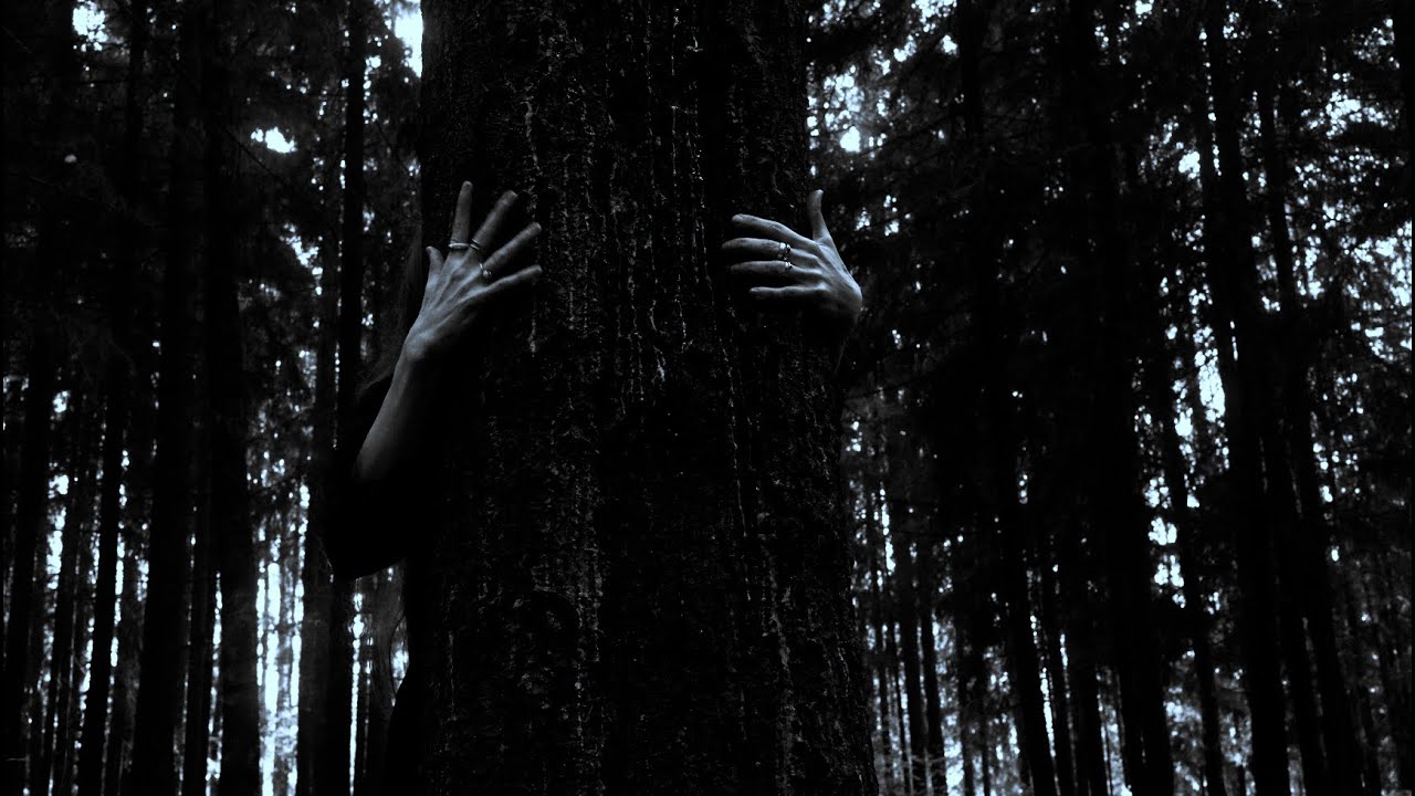 feral dream | short film