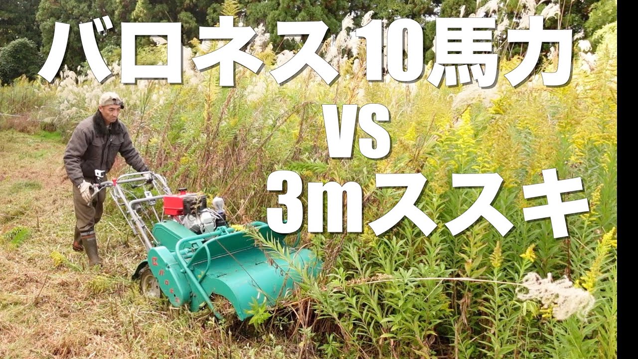 【出張草刈り】３ｍ超えのススキはハンマーナイフモアでも大変でした