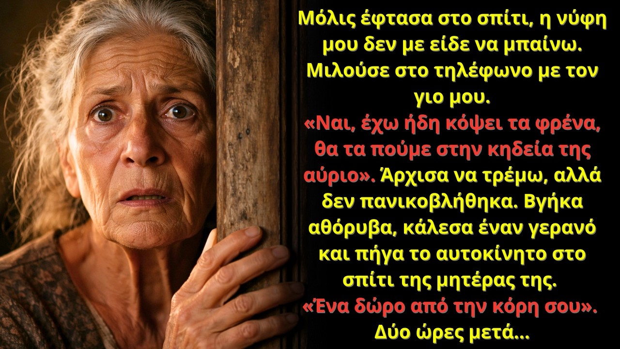 Η νύφη μου σχεδίαζε την κηδεία μου στο τηλέφωνο — αυτό που έκανα μετά τους πάγωσε