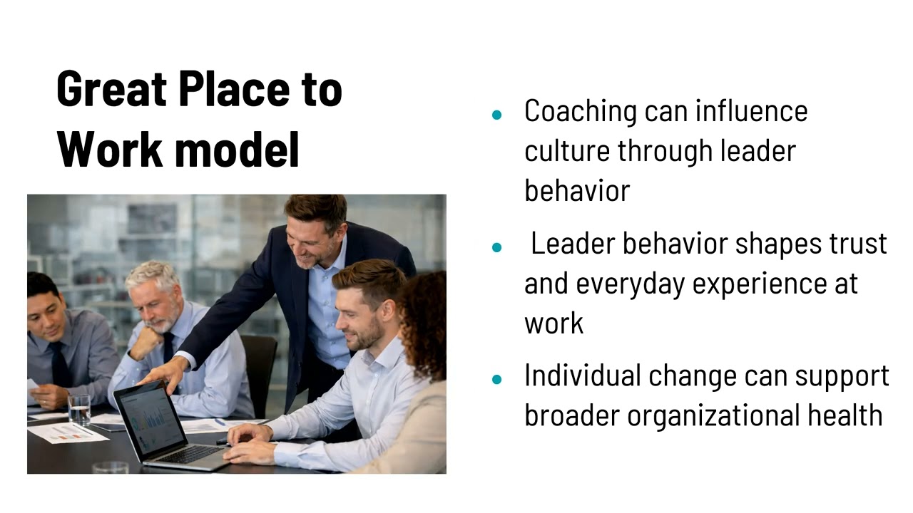 Individual Interventions: Executive and Management Coaching