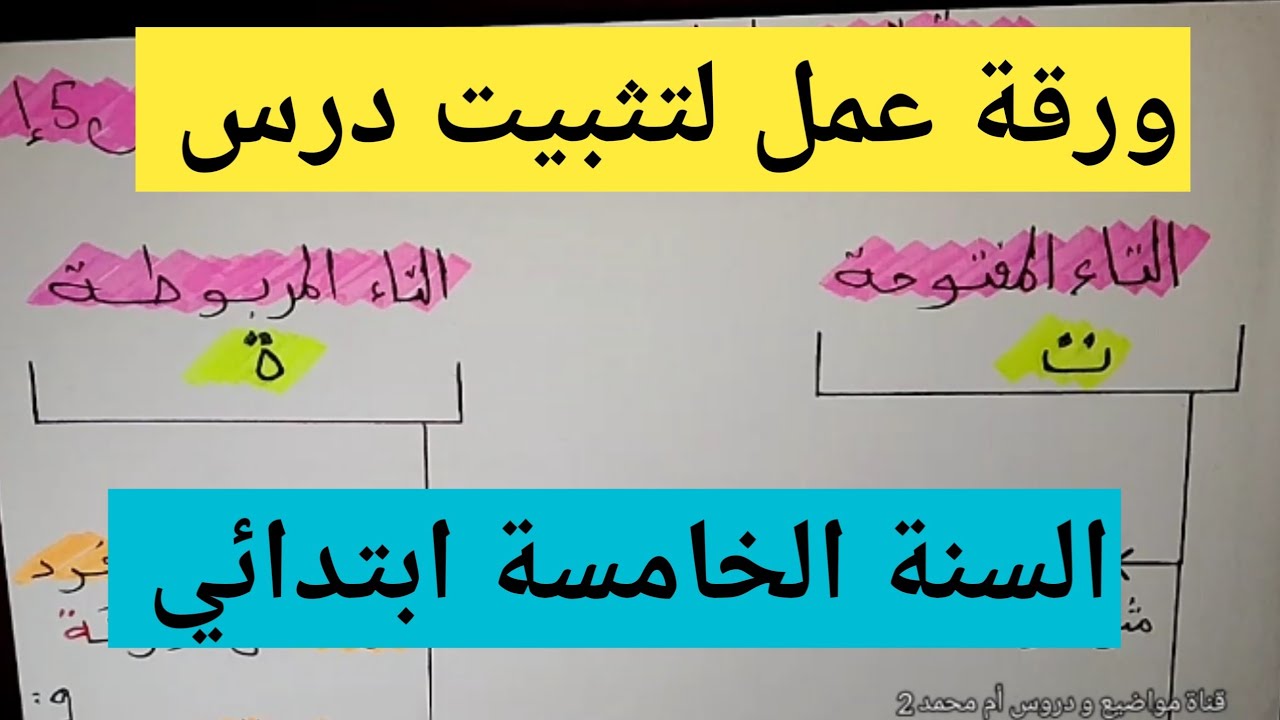 ورقة عمل تثبيت درس التاء المفتوحة والتاء المربوطة السنة الخامسة ابتدائي