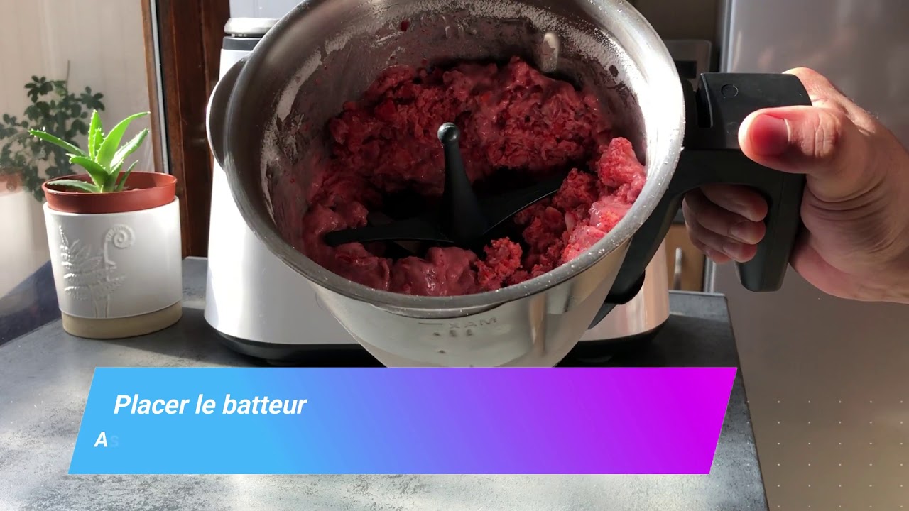 Recette 1 FR: Glace / sorbet à la fraise ou autres fruits avec le Monsieur Cuisine plus.