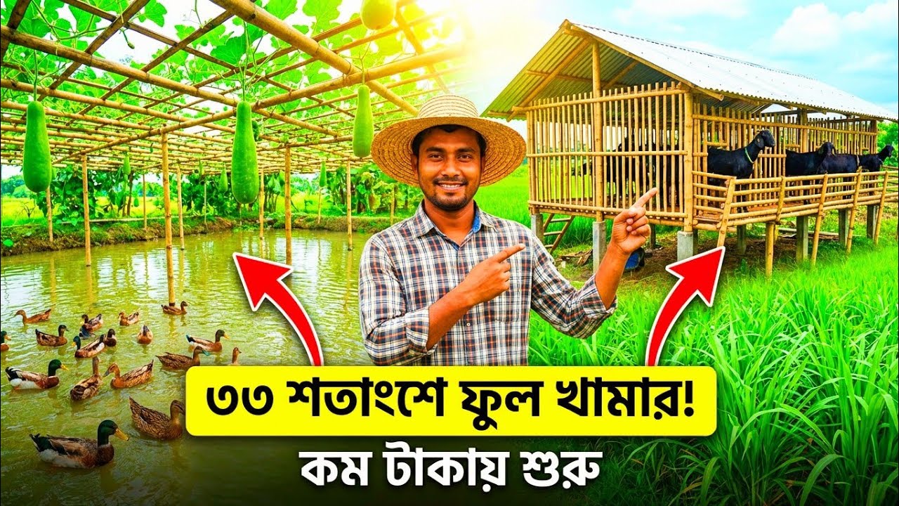 ১ বিঘা জমিতে ইন্টিগ্রেটেড ফার্মিং | ২.৫ লাখে শুরু, ধাপে ধাপে গাইড