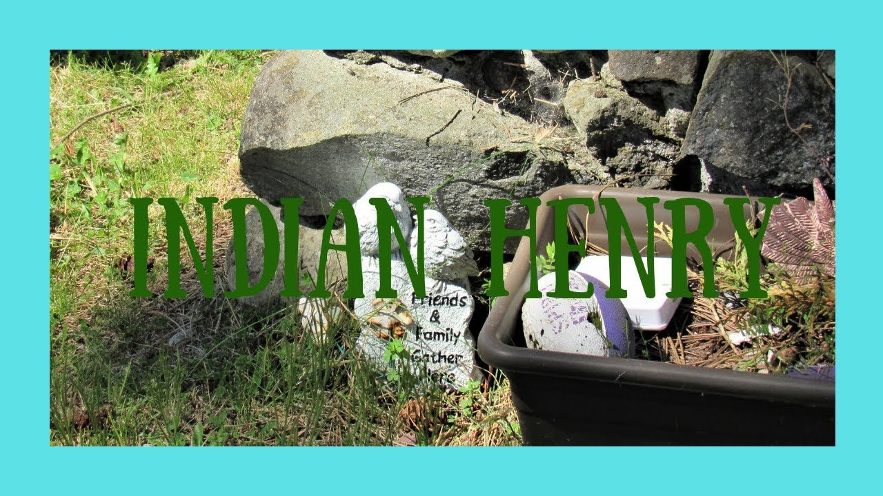Skate Creek and Indian Henry