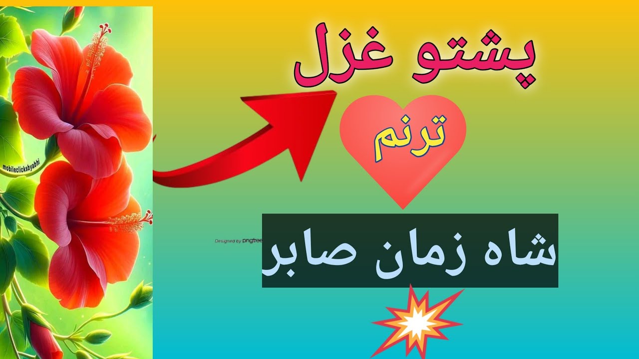 Pashto Ghazal | Shah Zaman  | Heart Touching Poetry #pashto