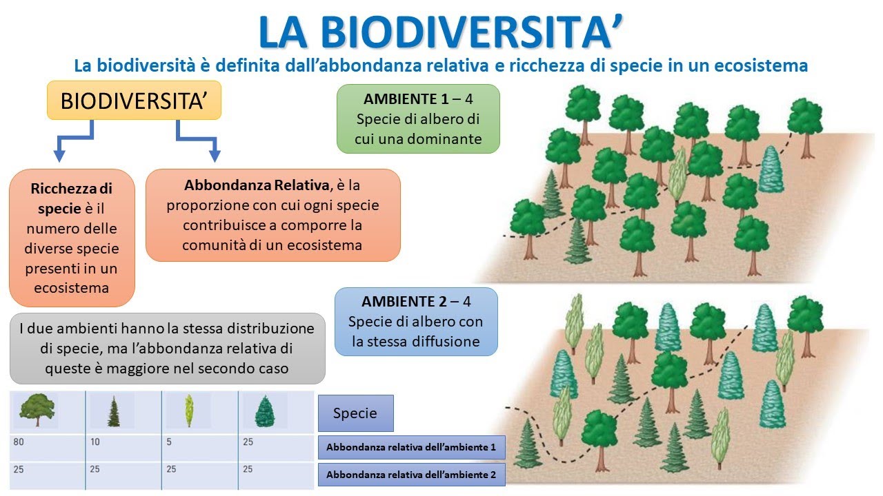L'IMPORTANZA DELLA  BIODIVERSITA'