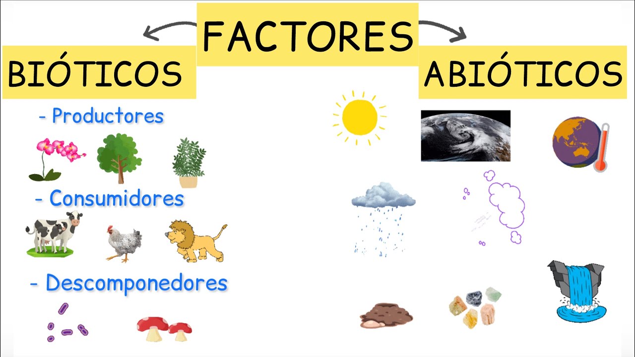 Factores bi&oacute;ticos y abi&oacute;ticos de los ecosistemas - &iexcl;&iexcl;En un minuto!!  @Biolog&iacute;ayEcolog&iacute;a