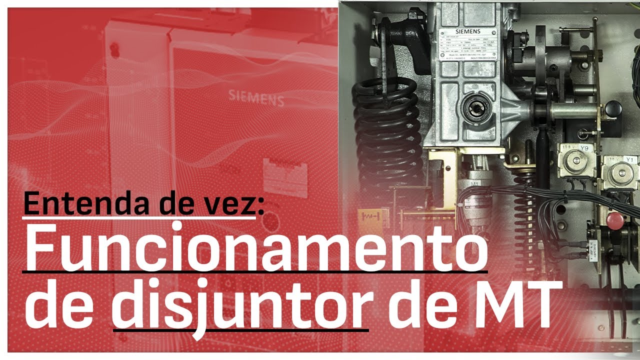 Entenda de forma completa o funcionamento de DJ de MT