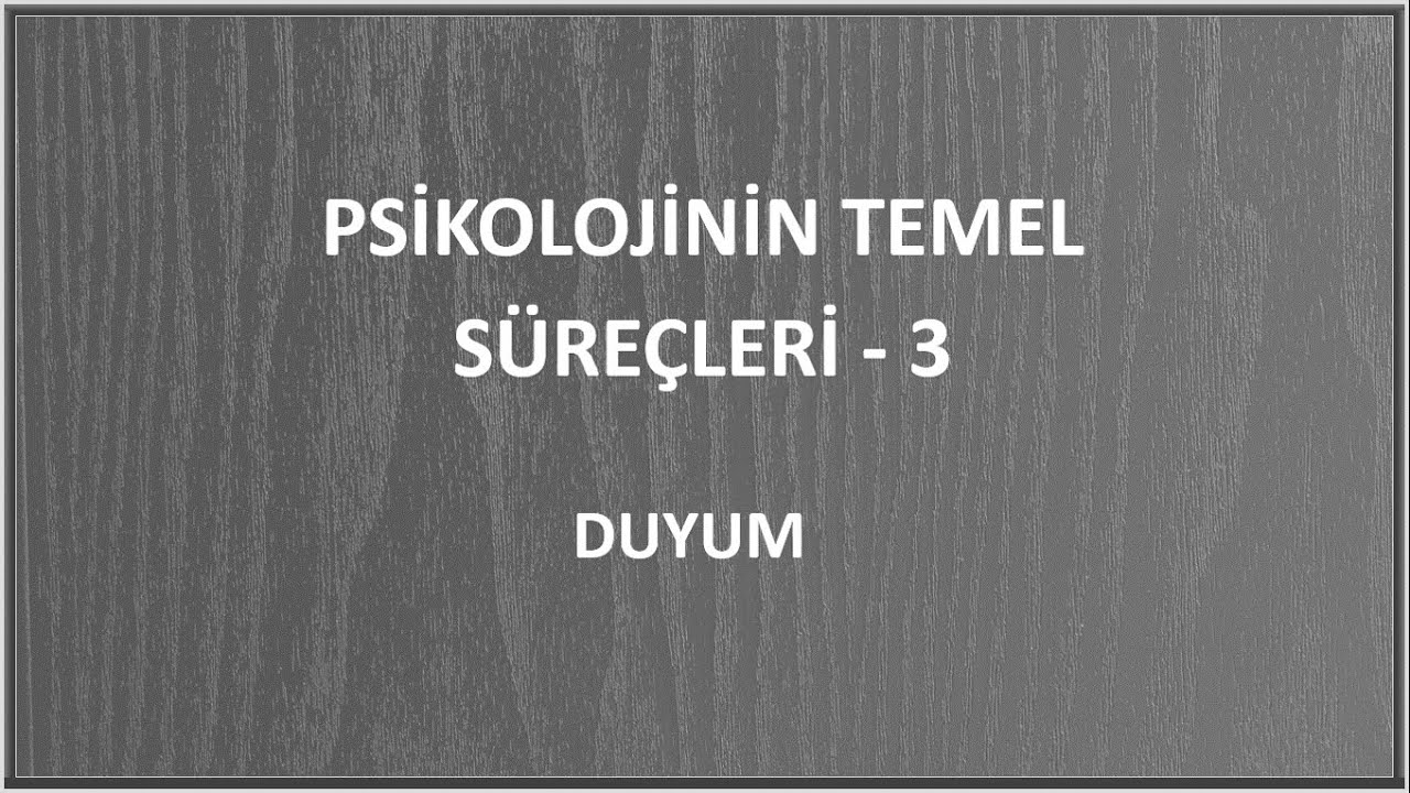 PSİKOLOJİNİN TEMEL S&Uuml;RE&Ccedil;LERİ - 3 DUYUM