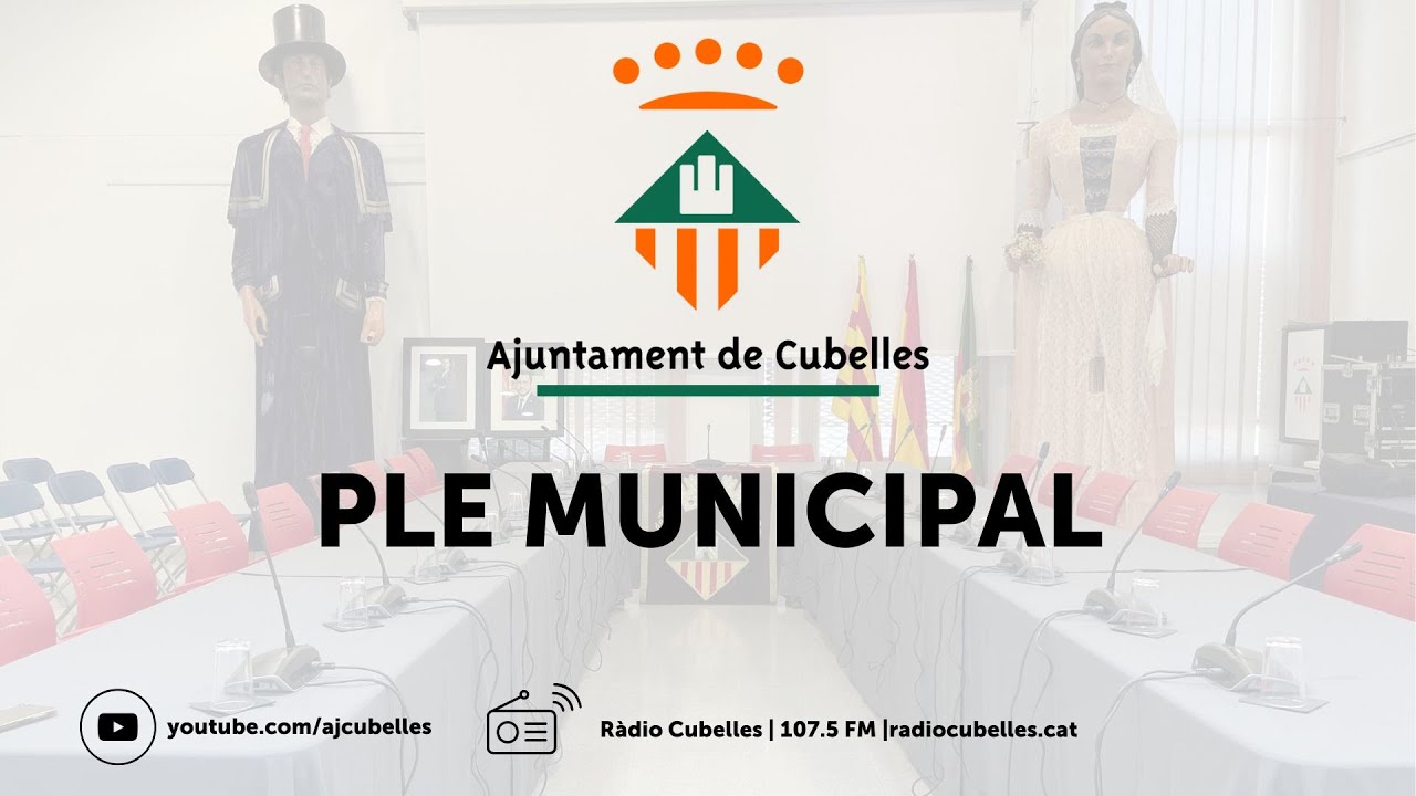 Ple ordinari del 18 de novembre