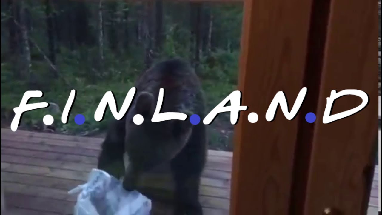 Finnish 